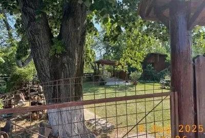 Casa si teren cota parte 1/3, Ivanesti, ID: R2759090 - 3