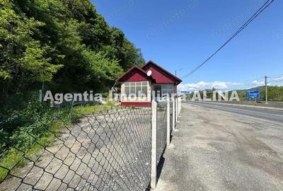 Spatiu comercial spre iesire din Loc. Deva (spre Mintia) zona Izvorul Decebal, Jud. Hunedoara. - 4