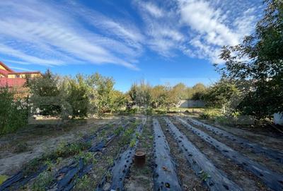 Vila D + P + E + M de 600 mp utili, teren de 1.400 mp, Cata - 4