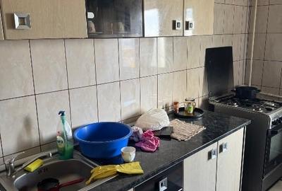 Apartament 2 camere Doamna Ghica - 5