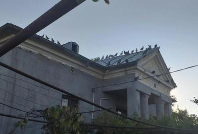 Casă cu 3 camere cu Teren 2600 Mp în Dioști - 1