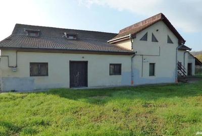 Casă cu 8 camere în Teiu - 8