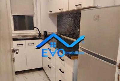 Apartament cu 2 camere de inchiriat, parter, zona Cantemir - 15