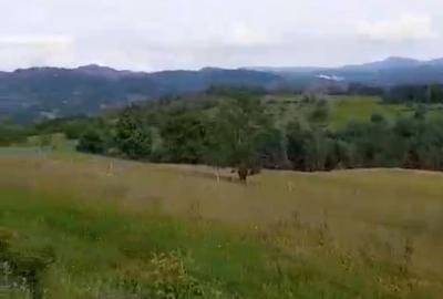 Spațiu comercial, în Central - 1