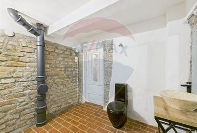 Spatiu comercial-Demisol-Atelier de arta - 12