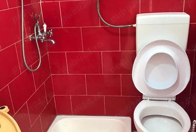 Garsonieră nedecomandată în Țiglina 1 - 3