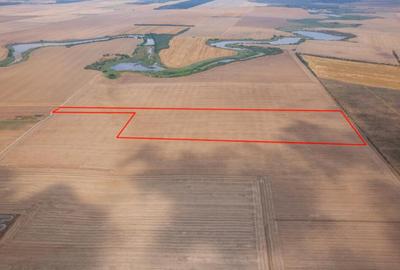 FRUMUSANI - PASAREA, TEREN 14420 MP, FRONT 40 M! - 11