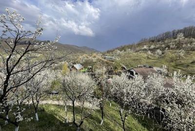 Casă individuală cu 4 camere cu Canalizare în Provița de Jos - 5