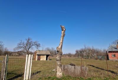 Spațiu comercial, în Suseni - 3