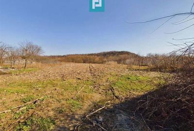 Casa rustica de vanzare in Tau? - 7