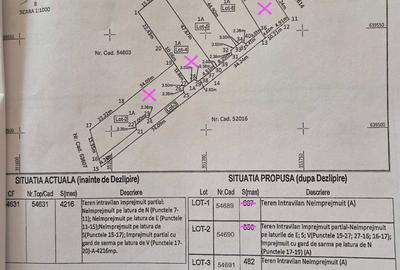 Teren de 42000 mp, în Crișeni - 1