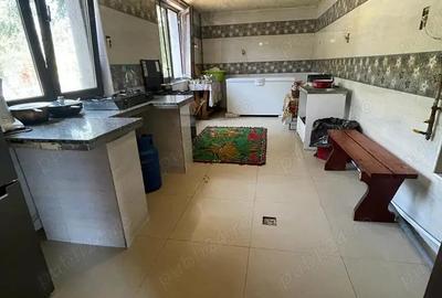 Casa individuala Nitu Vasile Brancoveanu D+P+1+M - 2