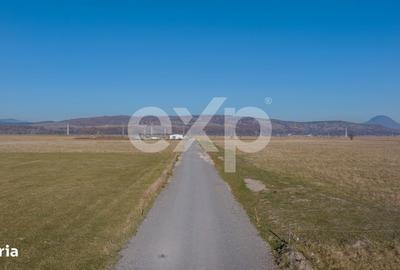 Spațiu comercial, în Central - 1