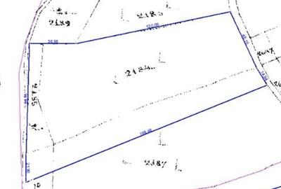 Spațiu comercial, în Central - 2