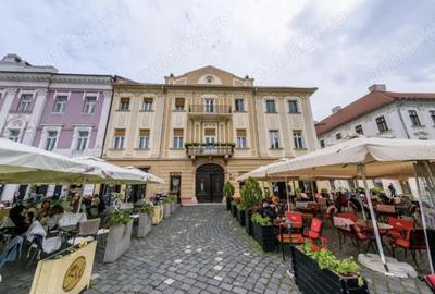 Proprietar, inchiriez apartament 2 camere in Piata Unirii, langa Domul Catolic - 9