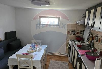 Casă cu 4 camere cu Teren 3100 Mp în Adunații-Copăceni - 3
