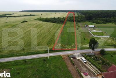 Teren de 15256 mp, în Jibert - 3