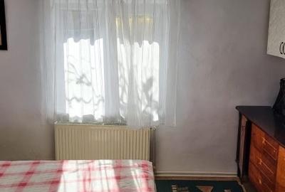 Casa Alexandru Iliescu - 10