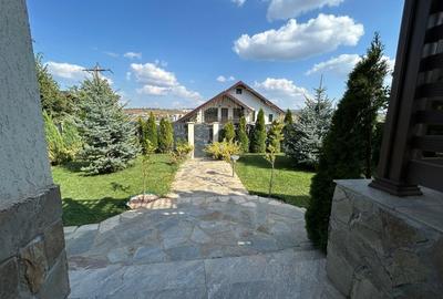 VILĂ CU 5 CAMERE - 150 MP UTILI - BECI, GARAJ, 717 MP TEREN, VIȘAN-BUCIUM - 25