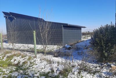 Teren de 600 mp, în Lucianca - 1