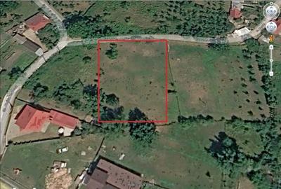 Teren de 1700 mp, în Central - 2