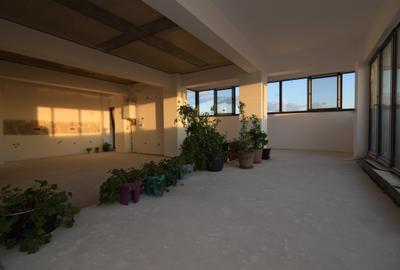 Penthouse cu 3 camere decomandat în Tudor Vladimirescu - 19