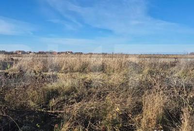 Teren de 900 mp, în Odoreu - 1