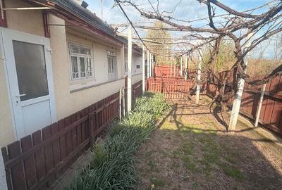 Casă cu Teren 1800 Mp în Bivolari - 5
