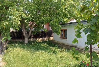 Teren Construcții intravilan de 1555 mp, în Central - 9