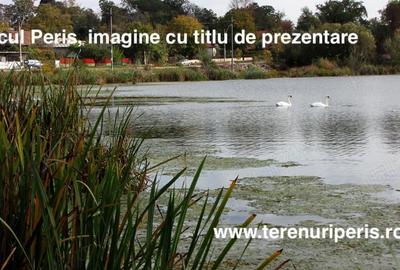 Teren în Săftica - 4