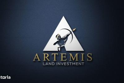 Spațiu comercial, de 250 mp, în Trivale - 1