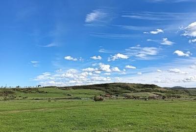 Vand teren intravilan 3000 mp in Sebes, jud Alba - 4