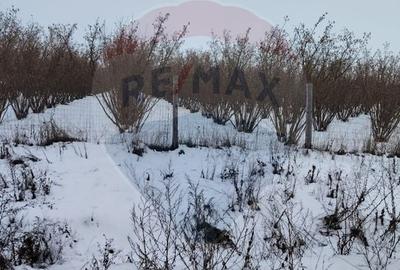 Teren intravilan de 2273 mp, în Dorobanți - 2