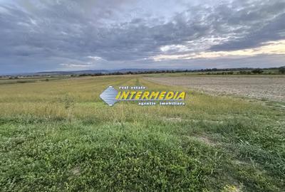 Teren de 2300 mp, în Mereteu - 6