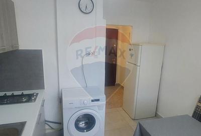 Apartament 1 camere de inchiriat in zona Buziasului - 3
