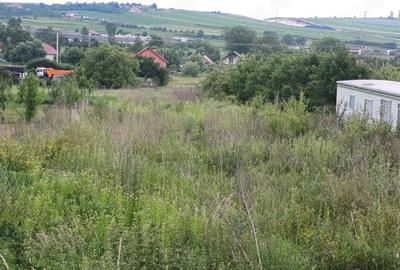 Teren de 1350 mp, în Tureni - 3
