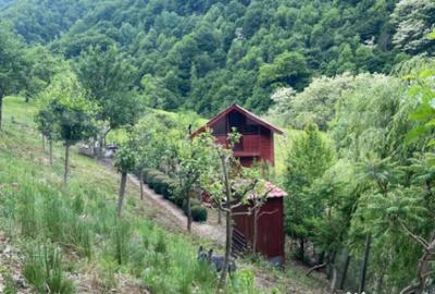 Casă cu 3 camere cu Teren 1470 Mp în Șugag - 2