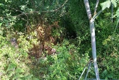 1 Decembrie-Greenfield, zona de case, teren intravilan cu utiltati - 2