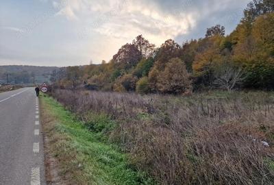 Teren de 1717 mp, în Mărgineni