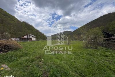 Spațiu comercial, în Batiz - 4