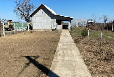 Casa noua de vanzare (gostavatu, olt) - 1