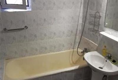 Inchiriere Apartament 2 Camere Decomandat Giurgiului-Drumul Gazarului - 6