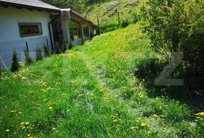 Casa 4 camere, 170mp, zona RALL - 3