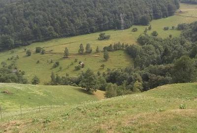 Teren de 10000 mp, în Moieciu - 5