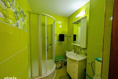 Apartament cu 2 camere semidecomandat în Tei - 14