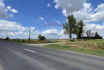 Teren investitie 4.350 mp | Balta Pasarea, langa Bucuresti - 7