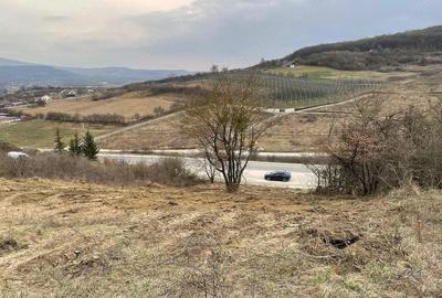 Teren de 1525 mp, în Jelna - 5