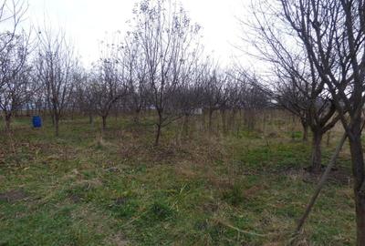 Casă individuală cu 6 camere cu Garaj în Chichiș - 24