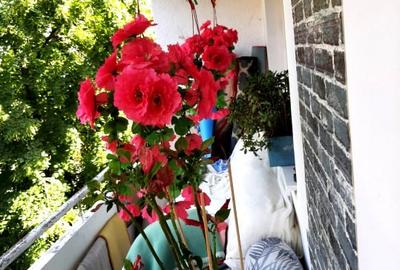 Apartament Cornisa etaj 2 - 14