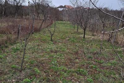 Casă cu 3 camere cu Teren 571 Mp în Bălănești - 4